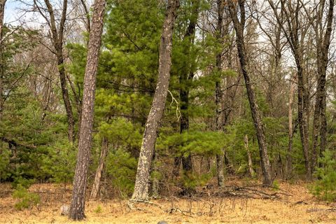 Tiny photo for Lot 188 18th Lane, Friendship, WI 53934 (MLS # 1954395)