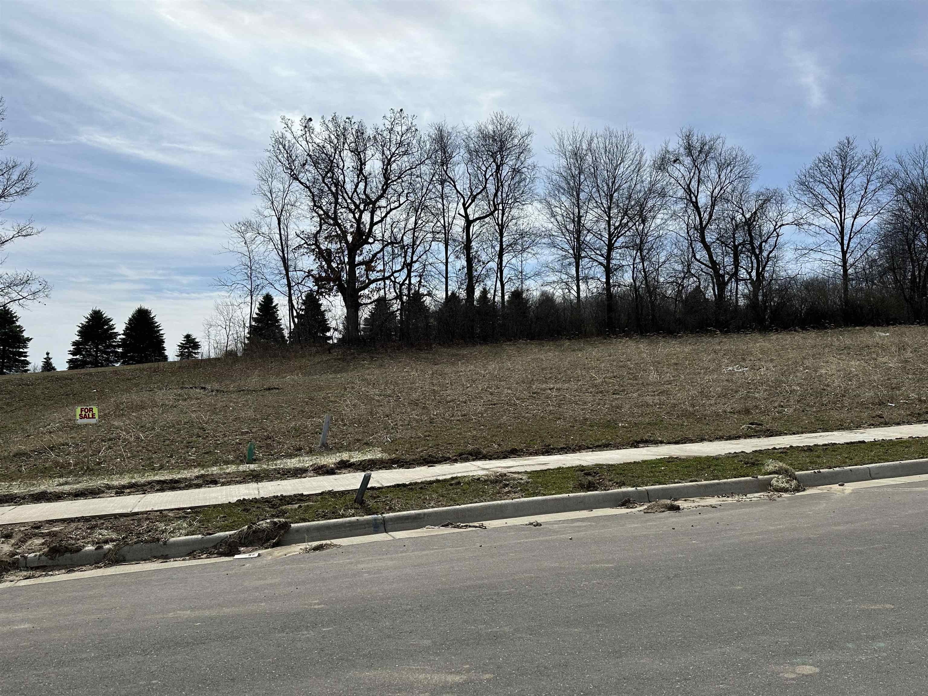 Stoughton, Wisconsin 53589, United States, ,Land,Active,54150