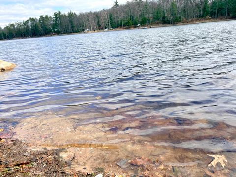 Photo of 7422 Clear Lake Road, Rhinelander, WI 54501 (MLS # 2021226)