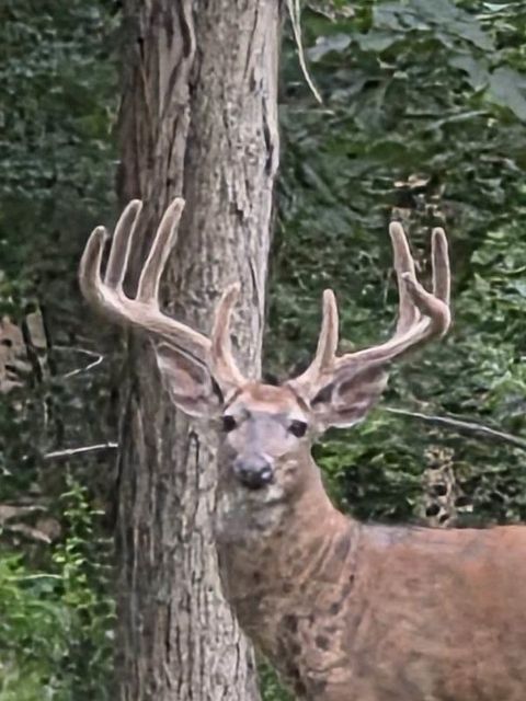 Photo of N8720 County CX Road, Portage, WI 53901 (MLS # 2009679)