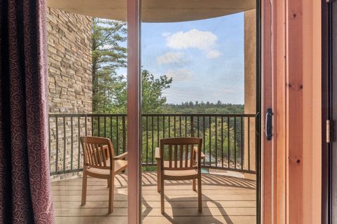 Tiny photo for 2411 River Road 2311 #2311, Wisconsin Dells, WI 53965 (MLS # 2001888)