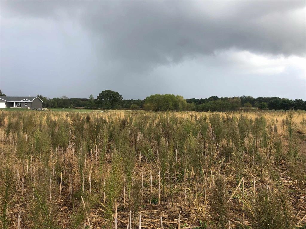 Lots 8 & 9 English Settlement Road