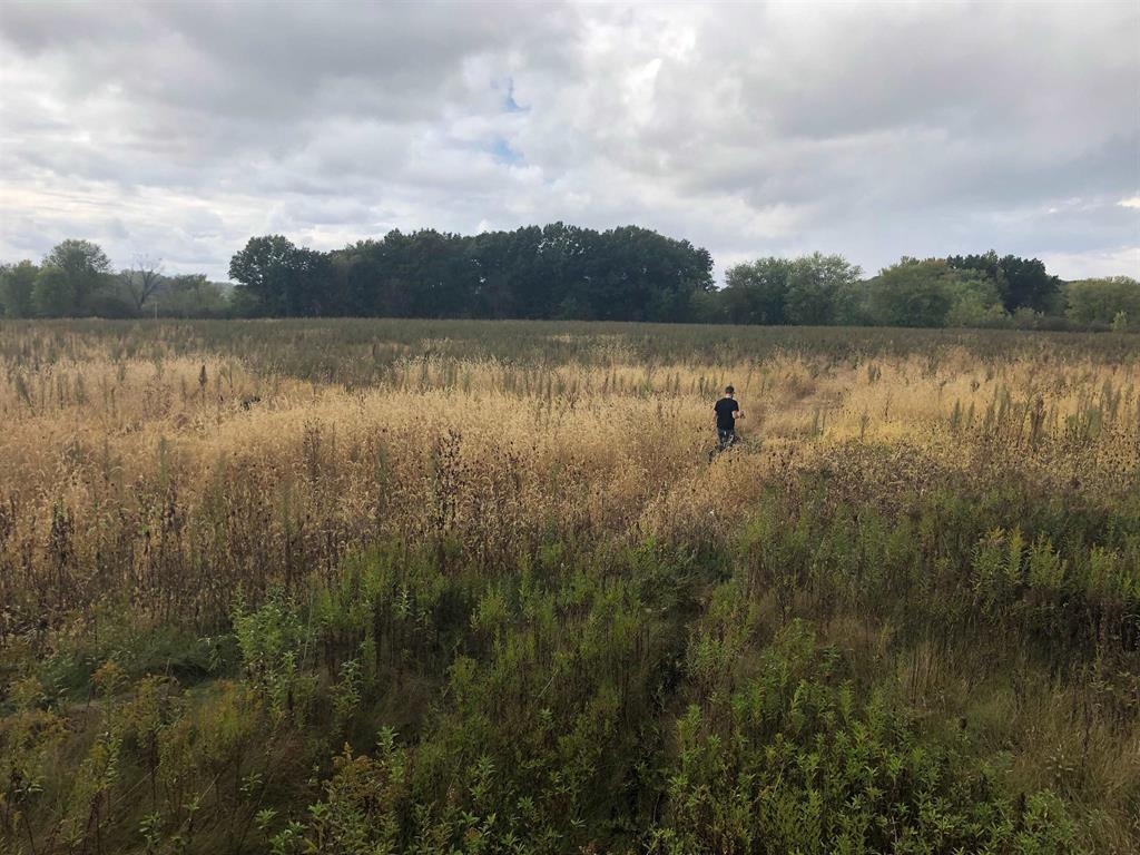 Lots 8 & 9 English Settlement Road