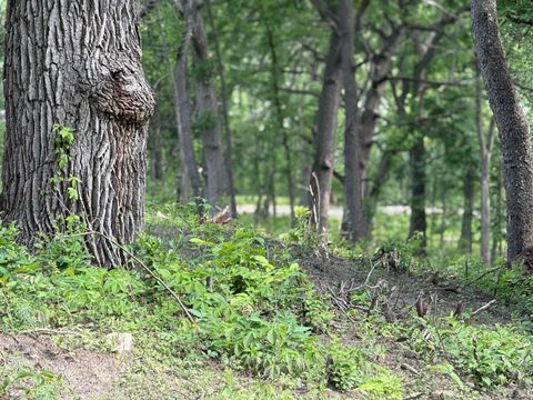 Tiny photo for 245 Whitetail Lane 23 #23, Deerfield, WI 53531 (MLS # 2012569)