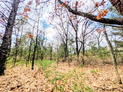 Photo of 0 Fawn Drive, Grand Marsh, WI 53936 (MLS # 2018420)