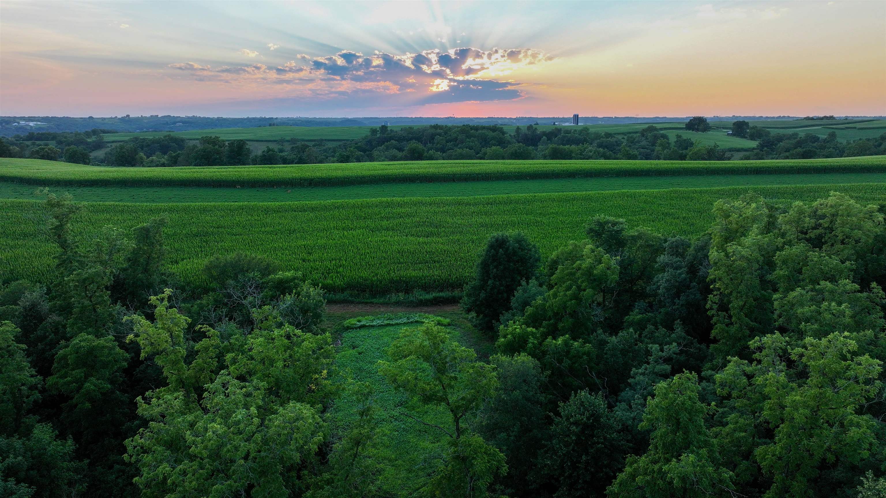 75± Acres Cannon Road