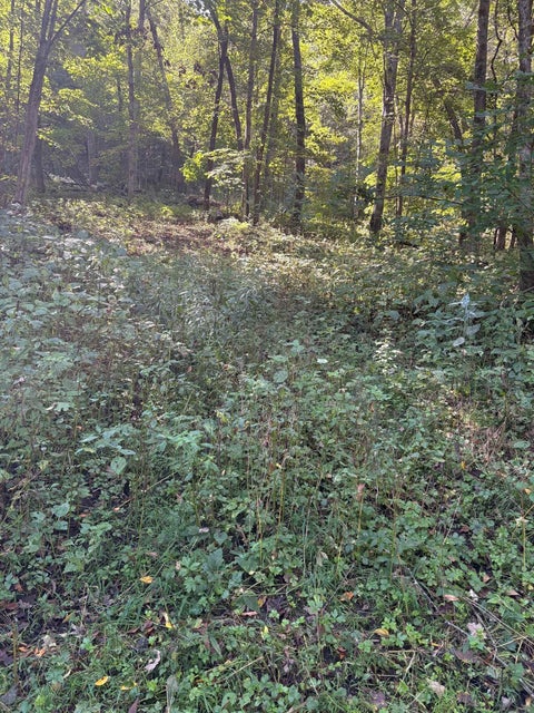 Photo of 0 Opals Lane, Gays Mills, WI 54631 (MLS # 2032481)