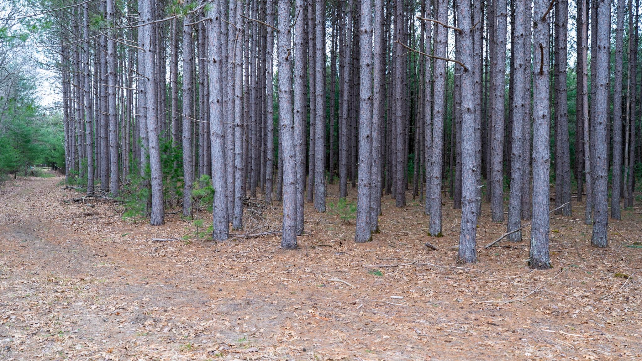 255.45 Ac Dover Drive