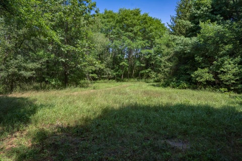 Photo of 9.73 acres E Flint Street, Lyndon Station, WI 53944 (MLS # 2029580)