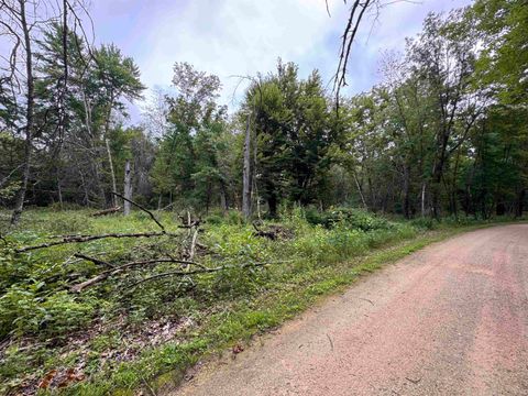 Tiny photo for 2.8 Ac Deer Run Road, Montello, WI 53949 (MLS # 2004458)