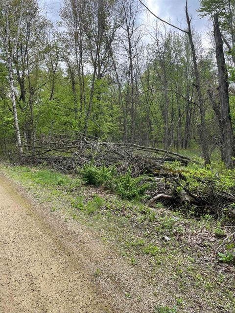 Tiny photo for 2.8 Ac Deer Run Road, Montello, WI 53949 (MLS # 2004458)