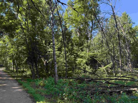 Tiny photo for 2.8 Ac Deer Run Road, Montello, WI 53949 (MLS # 2004458)