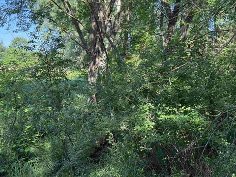 Tiny photo for 2.8 Ac Deer Run Road, Montello, WI 53949 (MLS # 2004458)
