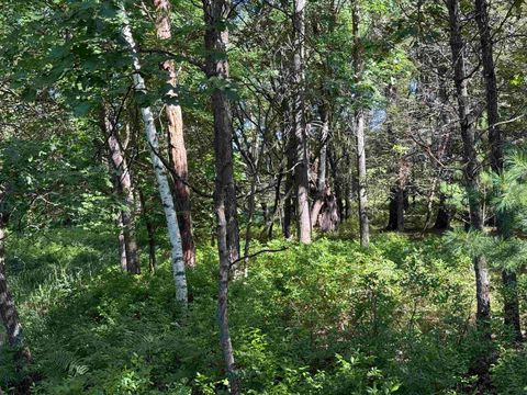 Tiny photo for 2.8 Ac Deer Run Road, Montello, WI 53949 (MLS # 2004458)