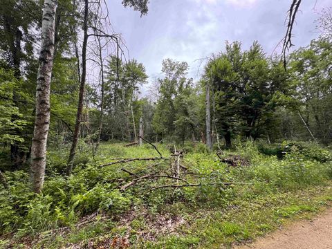 Tiny photo for 2.8 Ac Deer Run Road, Montello, WI 53949 (MLS # 2004458)
