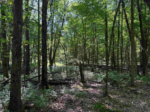 Tiny photo for 2.8 Ac Deer Run Road, Montello, WI 53949 (MLS # 2004458)