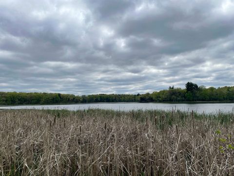 Tiny photo for 2.8 Ac Deer Run Road, Montello, WI 53949 (MLS # 2004458)