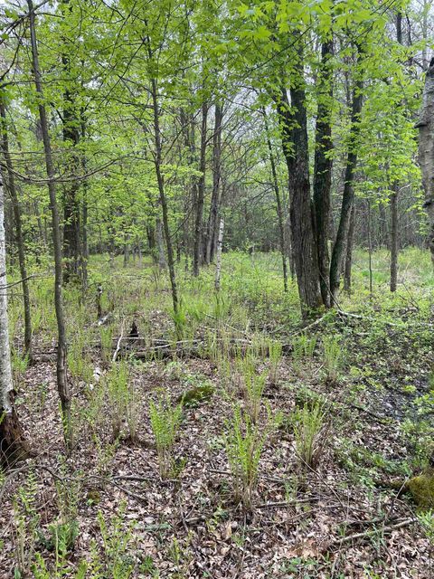 Tiny photo for 2.8 Ac Deer Run Road, Montello, WI 53949 (MLS # 2004458)