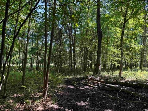 Tiny photo for 2.8 Ac Deer Run Road, Montello, WI 53949 (MLS # 2004458)