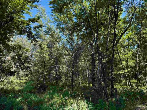 Tiny photo for 2.8 Ac Deer Run Road, Montello, WI 53949 (MLS # 2004458)