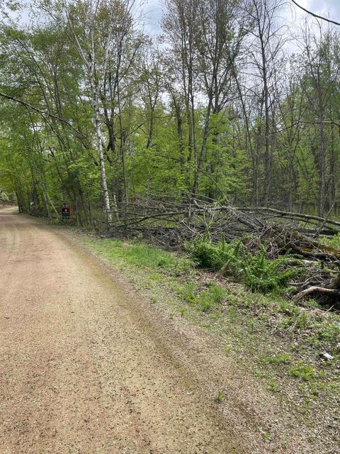 Tiny photo for 2.8 Ac Deer Run Road, Montello, WI 53949 (MLS # 2004458)