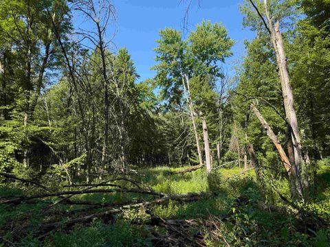 Tiny photo for 2.8 Ac Deer Run Road, Montello, WI 53949 (MLS # 2004458)