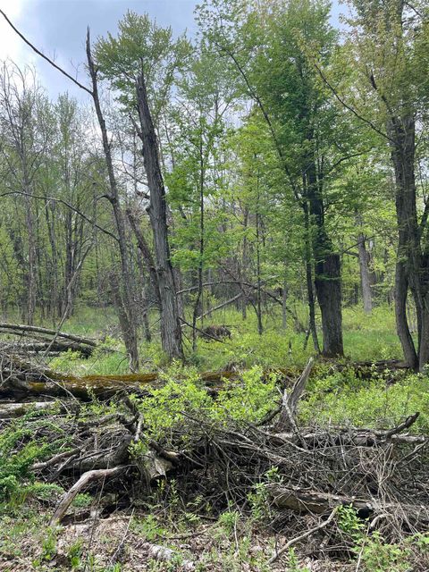 Tiny photo for 2.8 Ac Deer Run Road, Montello, WI 53949 (MLS # 2004458)