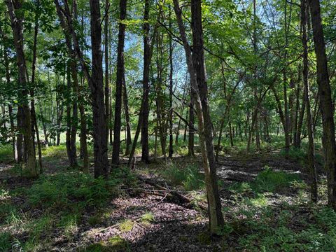 Tiny photo for 2.8 Ac Deer Run Road, Montello, WI 53949 (MLS # 2004458)