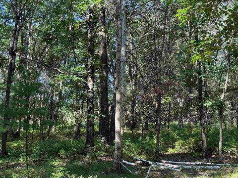 Tiny photo for 2.8 Ac Deer Run Road, Montello, WI 53949 (MLS # 2004458)