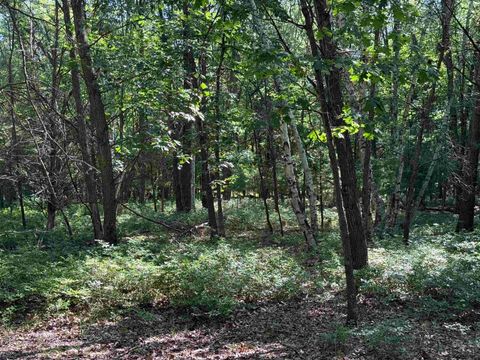 Tiny photo for 2.8 Ac Deer Run Road, Montello, WI 53949 (MLS # 2004458)