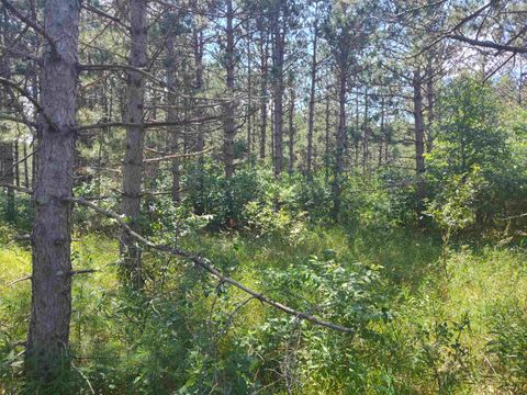 Tiny photo for Lot 114 County Road Z, Arkdale, WI 54613 (MLS # 1981921)