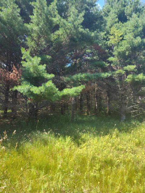 Tiny photo for Lot 114 County Road Z, Arkdale, WI 54613 (MLS # 1981921)