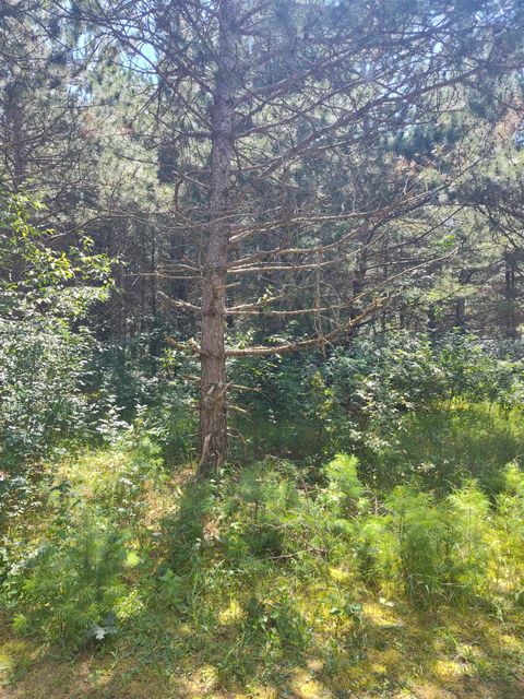 Tiny photo for Lot 114 County Road Z, Arkdale, WI 54613 (MLS # 1981921)
