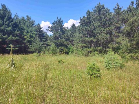 Tiny photo for Lot 114 County Road Z, Arkdale, WI 54613 (MLS # 1981921)