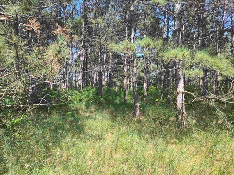 Tiny photo for Lot 114 County Road Z, Arkdale, WI 54613 (MLS # 1981921)