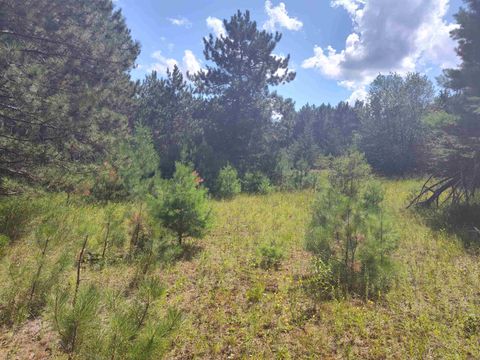 Tiny photo for Lot 114 County Road Z, Arkdale, WI 54613 (MLS # 1981921)