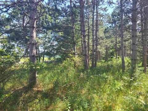 Tiny photo for Lot 114 County Road Z, Arkdale, WI 54613 (MLS # 1981921)