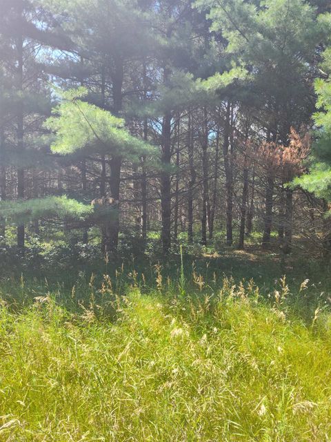 Tiny photo for Lot 114 County Road Z, Arkdale, WI 54613 (MLS # 1981921)