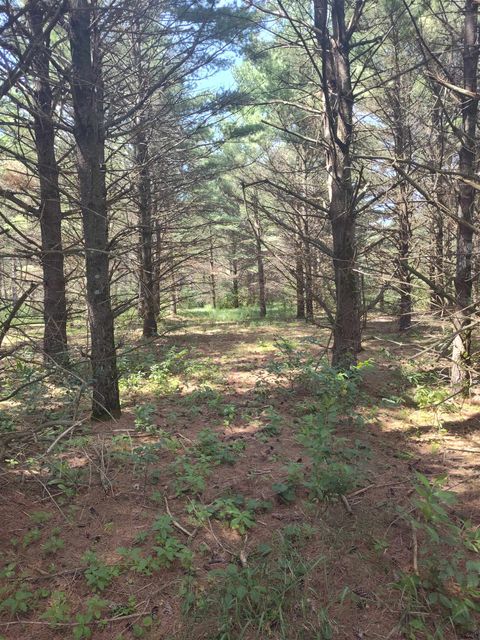Tiny photo for Lot 114 County Road Z, Arkdale, WI 54613 (MLS # 1981921)