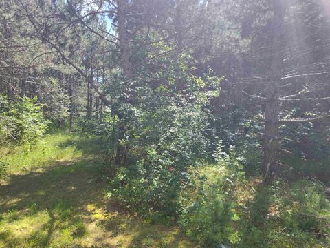 Tiny photo for Lot 114 County Road Z, Arkdale, WI 54613 (MLS # 1981921)