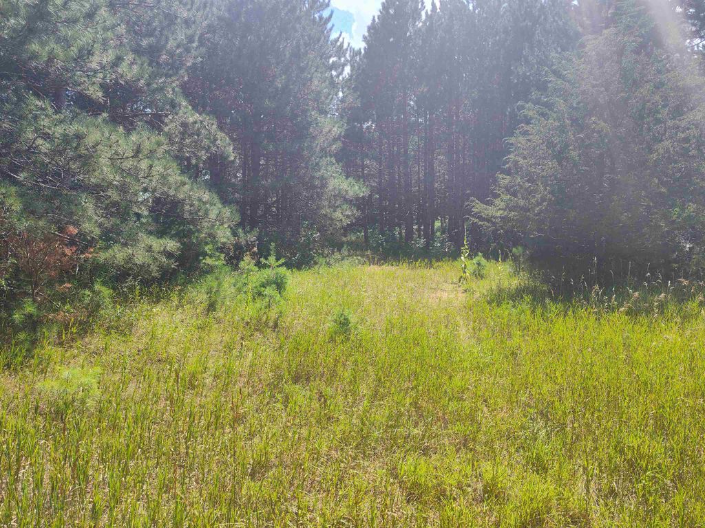Photo for Lot 114 County Road Z, Arkdale, WI 54613 (MLS # 1981921)