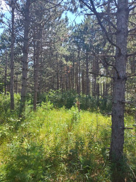 Tiny photo for Lot 114 County Road Z, Arkdale, WI 54613 (MLS # 1981921)