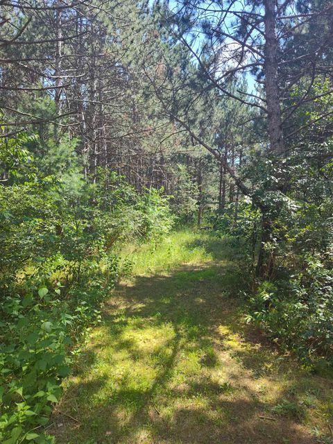 Tiny photo for Lot 114 County Road Z, Arkdale, WI 54613 (MLS # 1981921)