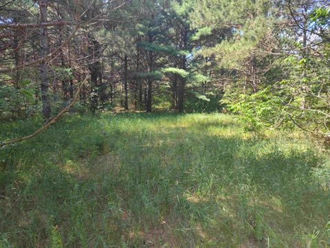 Tiny photo for Lot 114 County Road Z, Arkdale, WI 54613 (MLS # 1981921)