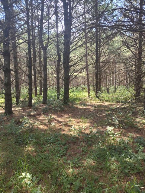 Tiny photo for Lot 114 County Road Z, Arkdale, WI 54613 (MLS # 1981921)