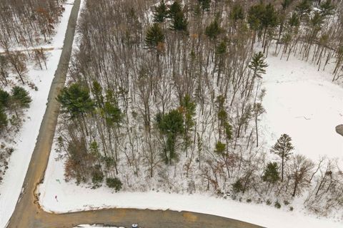 Photo of W4305 Red Pine Drive, Necedah, WI 54646 (MLS # 2016908)