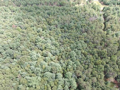 Tiny photo for 80 AC 13th Ave N Acres, Arkdale, WI 54613 (MLS # 2009946)