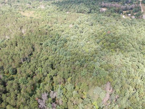 Tiny photo for 80 AC 13th Ave N Acres, Arkdale, WI 54613 (MLS # 2009946)