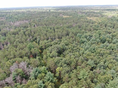 Tiny photo for 80 AC 13th Ave N Acres, Arkdale, WI 54613 (MLS # 2009946)