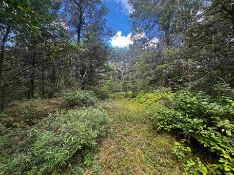 Tiny photo for 80 AC 13th Ave N Acres, Arkdale, WI 54613 (MLS # 2009946)